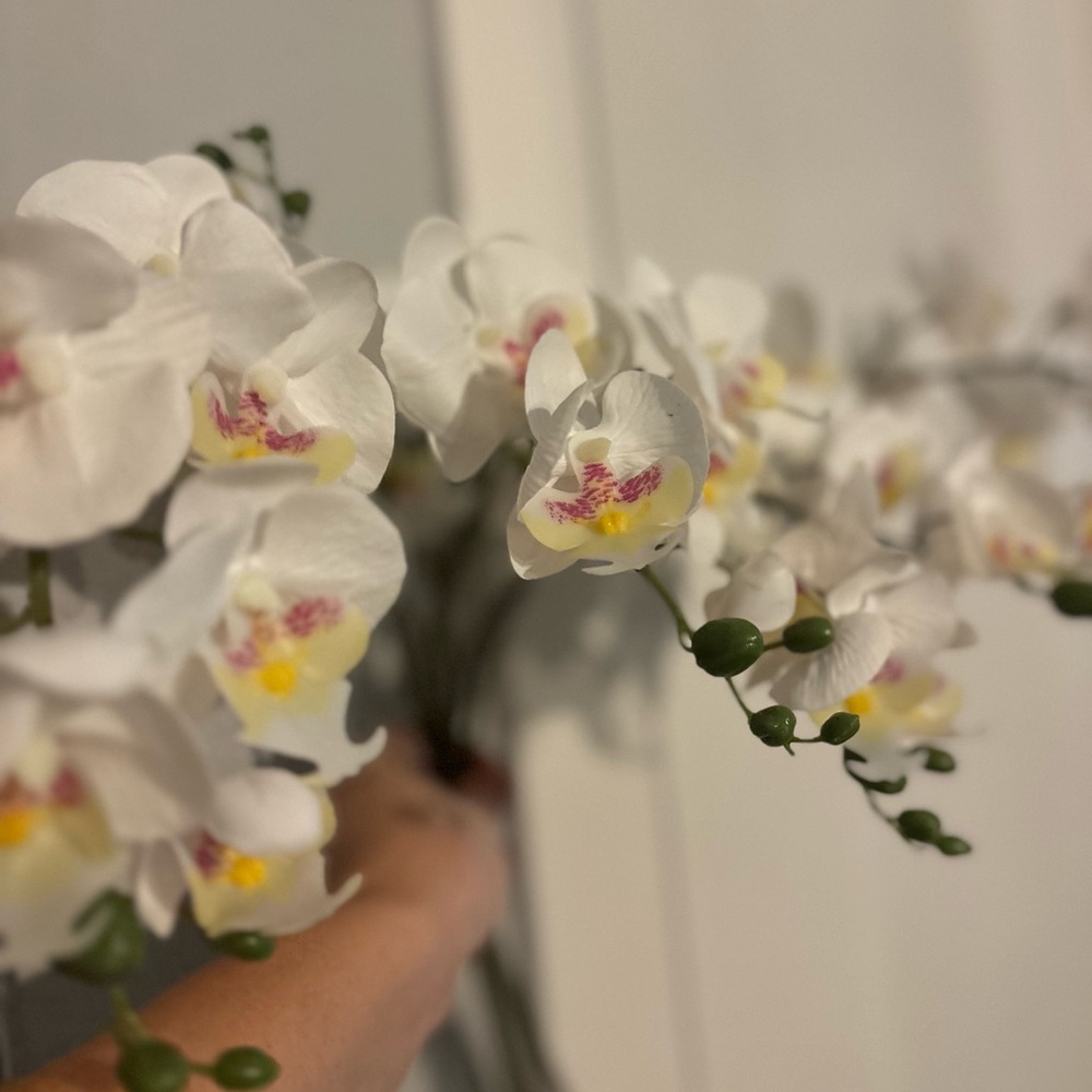 Silk flowers never used